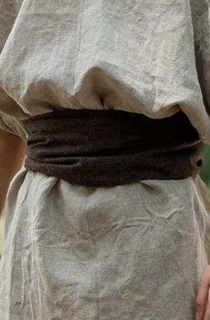 Fascia ventralis